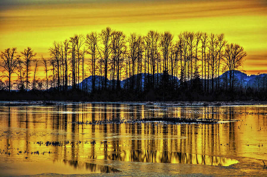 Golden Hour by Michael Potts Golden Hour by Michael Potts