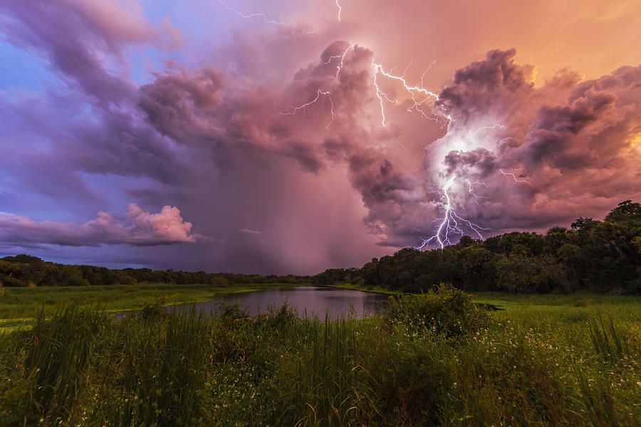 Golden Hour On Fire Photograph by Justin Battles