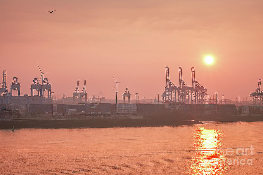 Golden hour on the Elbe Photograph by Marina Usmanskaya