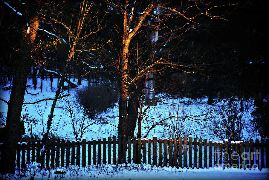 Golden Hour On The Fence Photograph