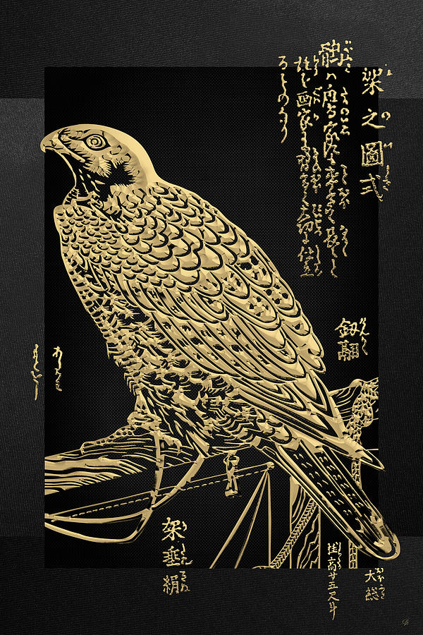 Golden Japanese Peregrine Falcon on Black Canvas  Digital Art by Serge Averbukh