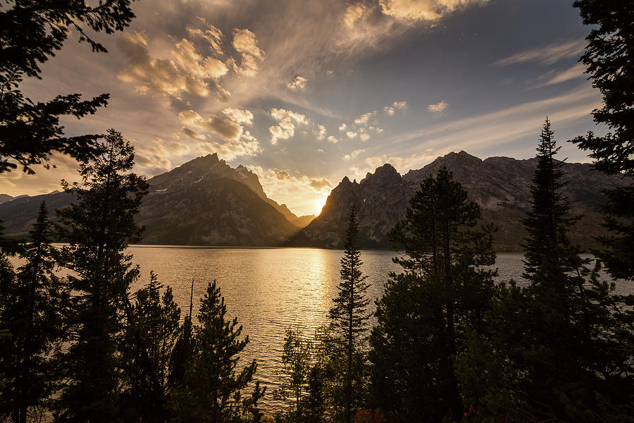 Golden Jenny Lake View Photograph by James BO Insogna