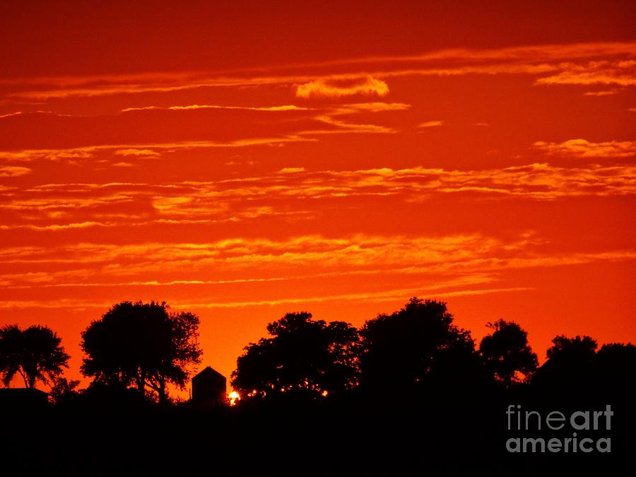Golden June Sunset Photograph by J L Zarek