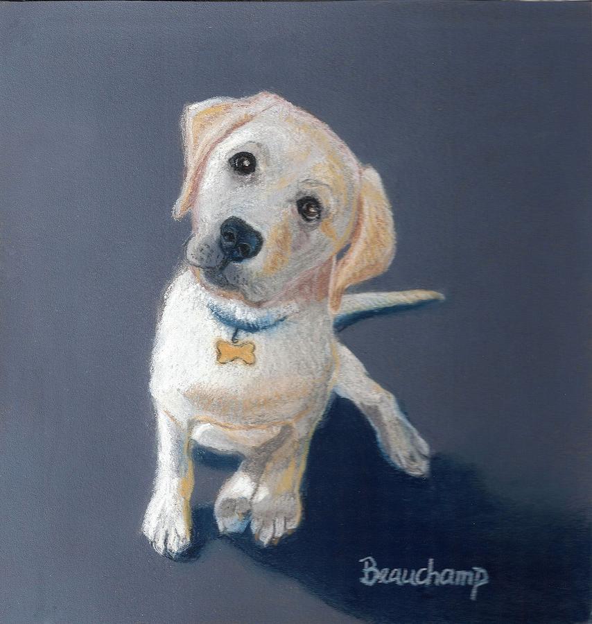 Golden Lab Puppy Pastel by Nancy Beauchamp