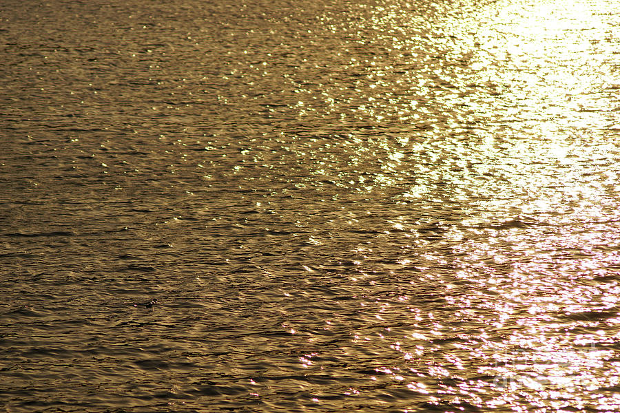 Golden lake by CJ MAINOR Golden lake by CJ MAINOR