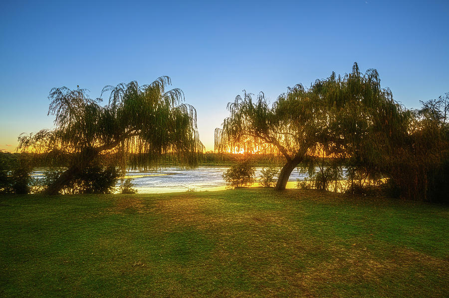 Golden Lake, Yanchep National Park Photograph by Dave Catley