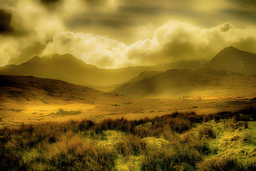Golden Lands Photograph by Christopher Maxum