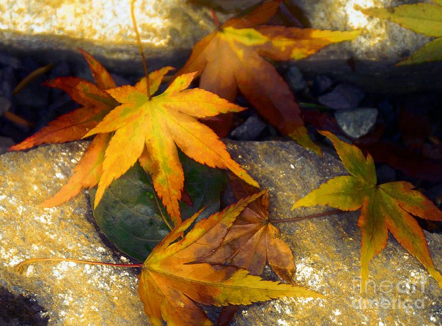 Golden leaves 2015 Photograph by Sandra Peery