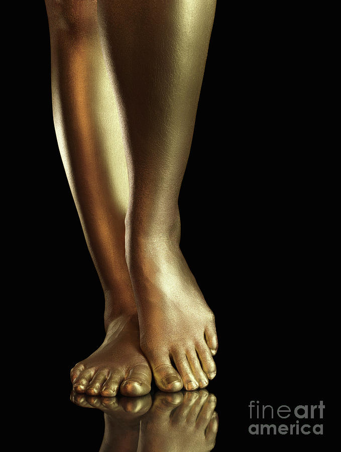 Golden Legs Photograph by Maxim Images Exquisite Prints