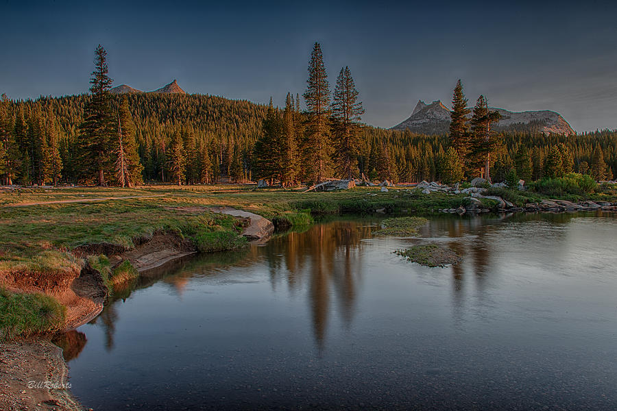 Yosemite National Park Photograph - Golden Light by Bill Roberts