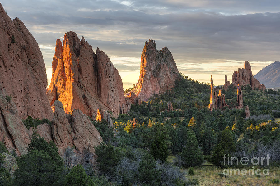 Colorado Springs Photograph - Golden Light in the Garden of the Gods by Colin D Young