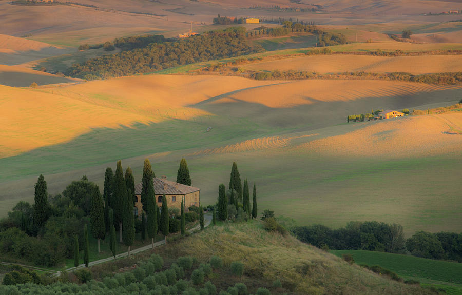 Golden Light in Val D'orcia Photograph by Denise Gallagher - Fine Art ...