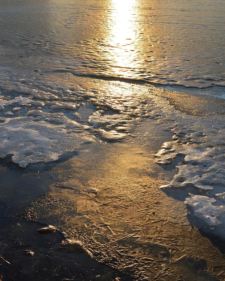 Golden Light On The Lake Ice  Digital Art by Lyle Crump