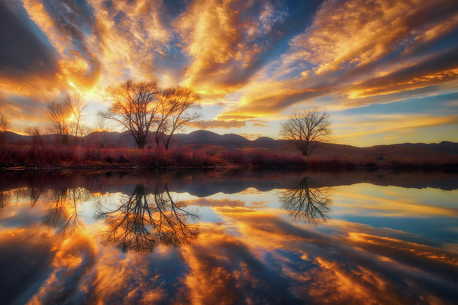 Sunset Photograph - Golden Light on the Pond by Darren White