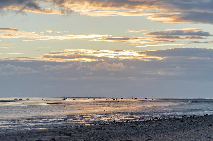 Golden light by Spikey Mouse Photography Golden light by Spikey Mouse Photography