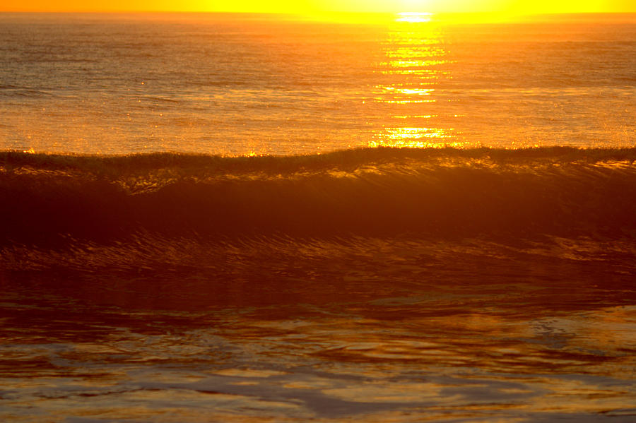 Golden Lip at San Onofre Photograph by Brad Scott