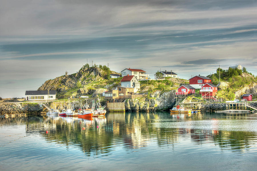 Golden Lofoten, Norway Photograph by Dunn Ellen - Fine Art America