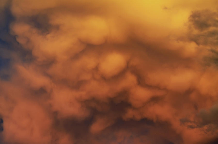 Golden Mammatus Photograph by Ally White