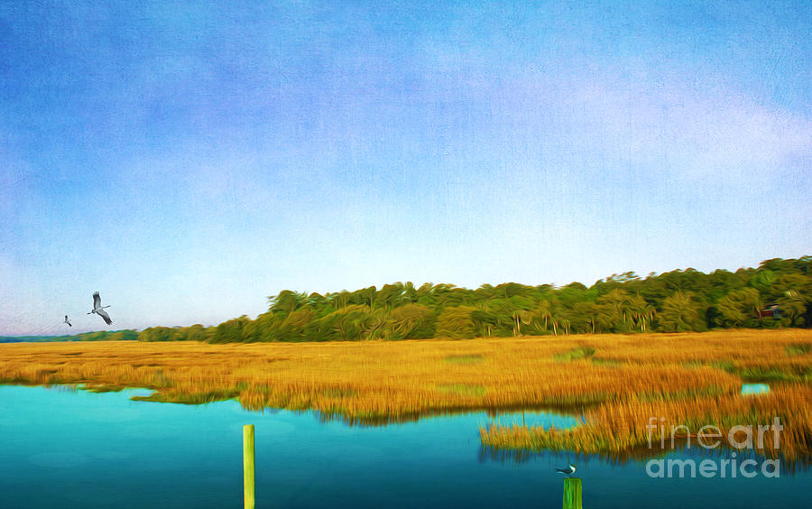 St. Simons Island Photograph - Golden Marshes St. Simons Island by Laura D Young
