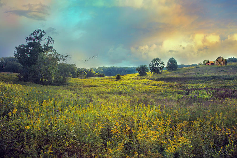 Golden Meadows Photograph by John Rivera