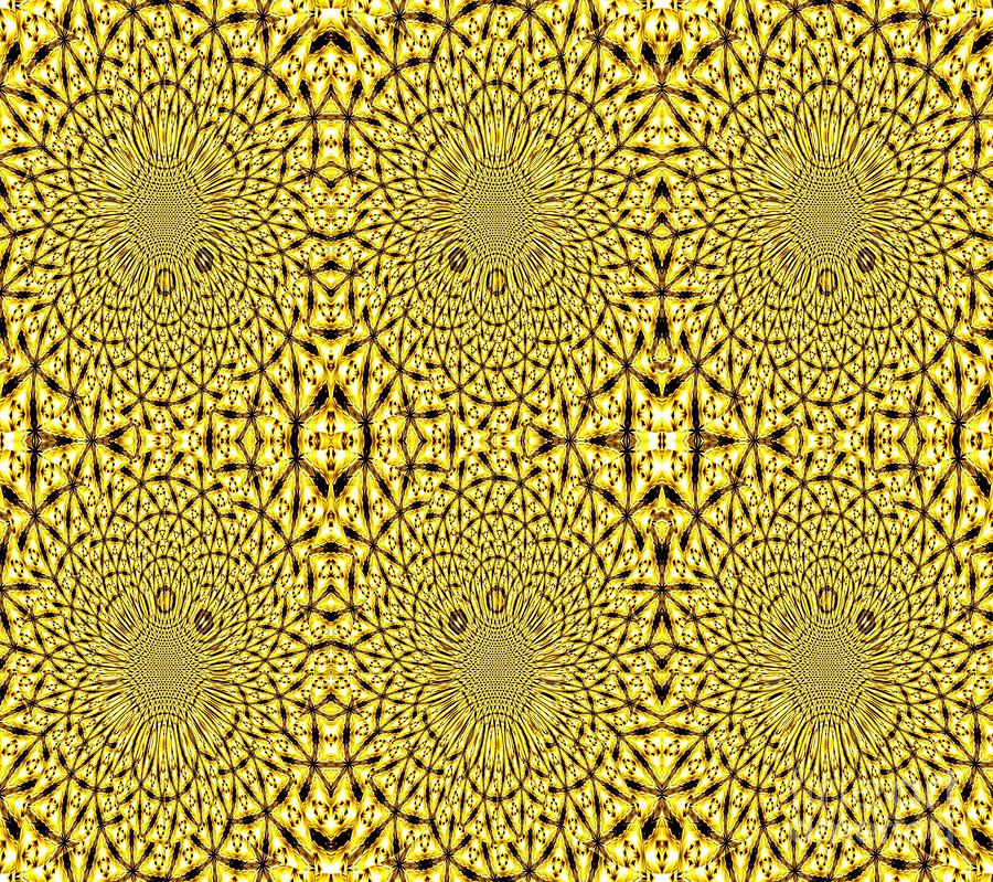 Golden Metallic Lights Kaleidoscope Mandala Abstract 3 Photograph by Rose Santuci-Sofranko