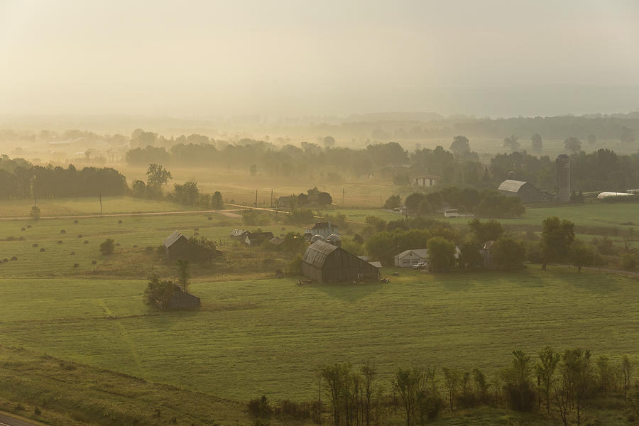Golden Mist On The Farm Photograph