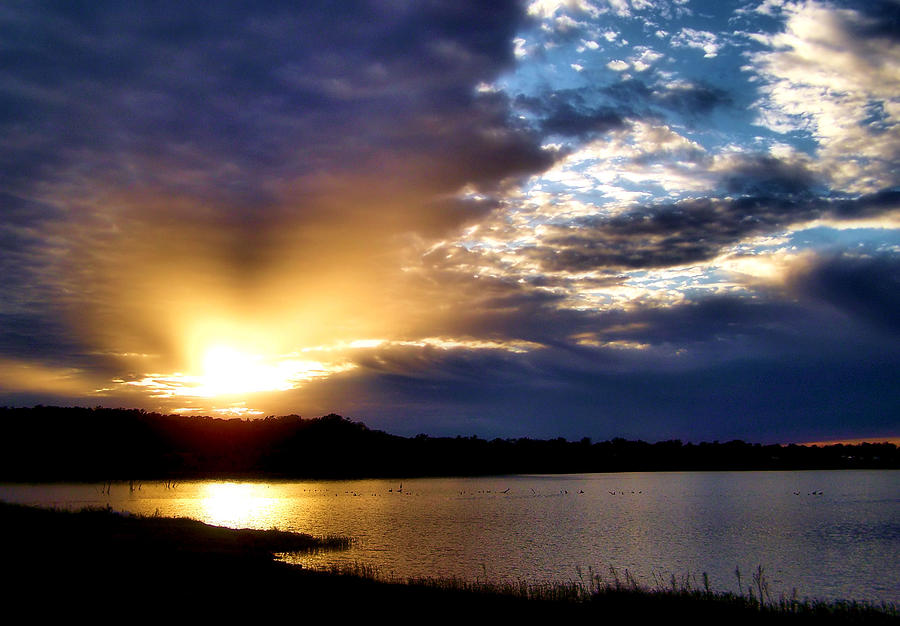 Golden Moment Photograph by Karen Scovill - Fine Art America