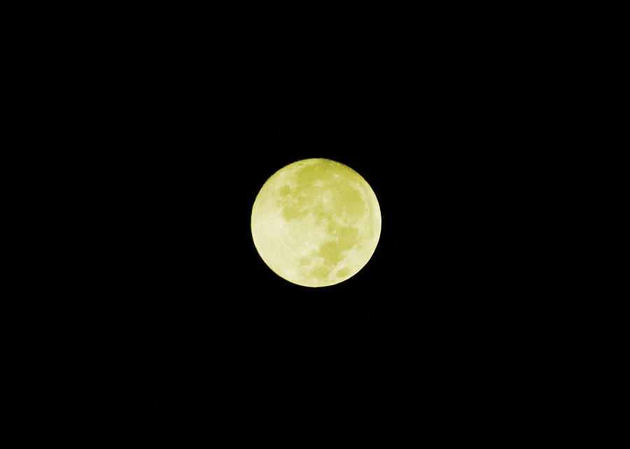 Golden Moon Photograph by Colleen Cornelius
