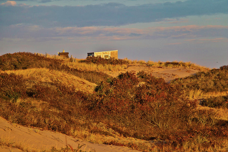 Golden Morning Dunes Photograph by Marisa Geraghty Photography