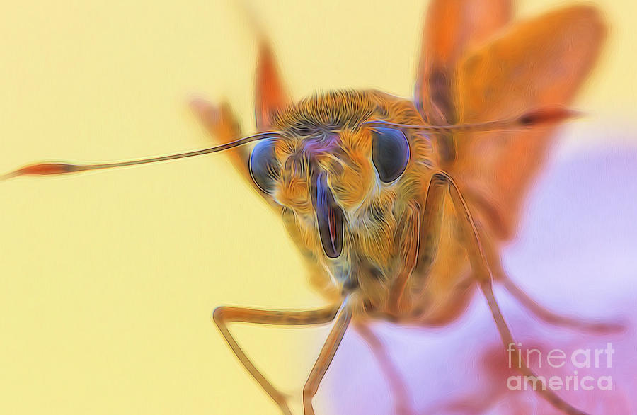 Golden Moth Digital Art by Ray Shiu