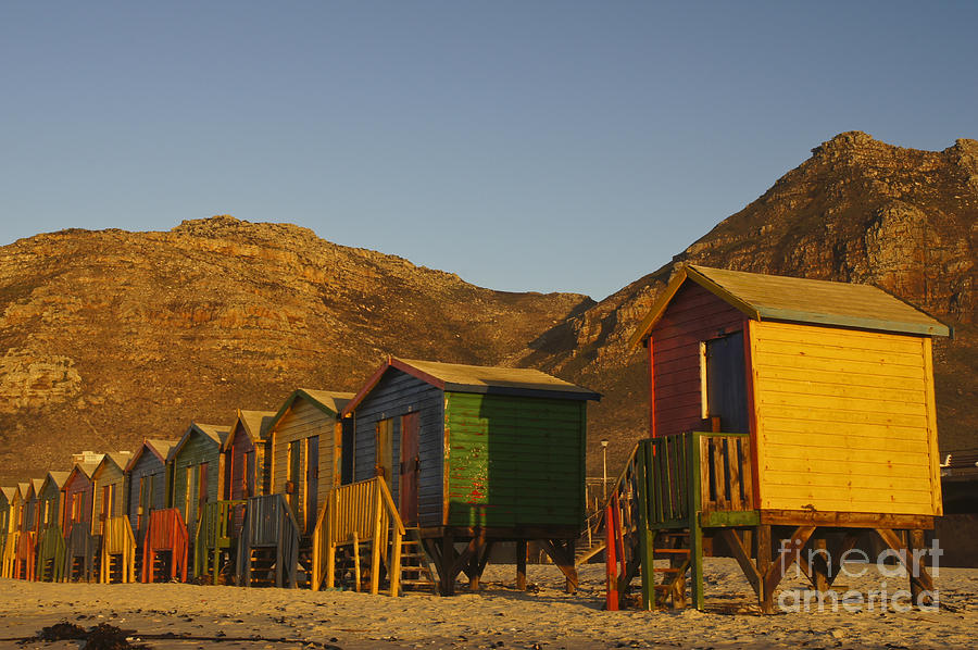 Golden Muizenberg Beach Photograph by Brian Kamprath