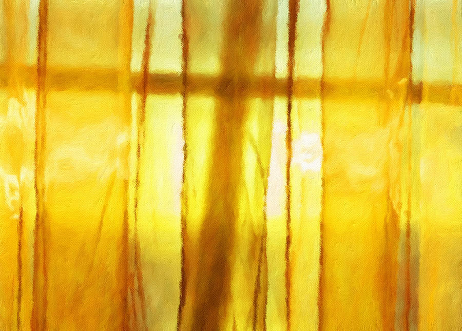 Rising sun behind gold colored net curtains Photograph by Steven Heap