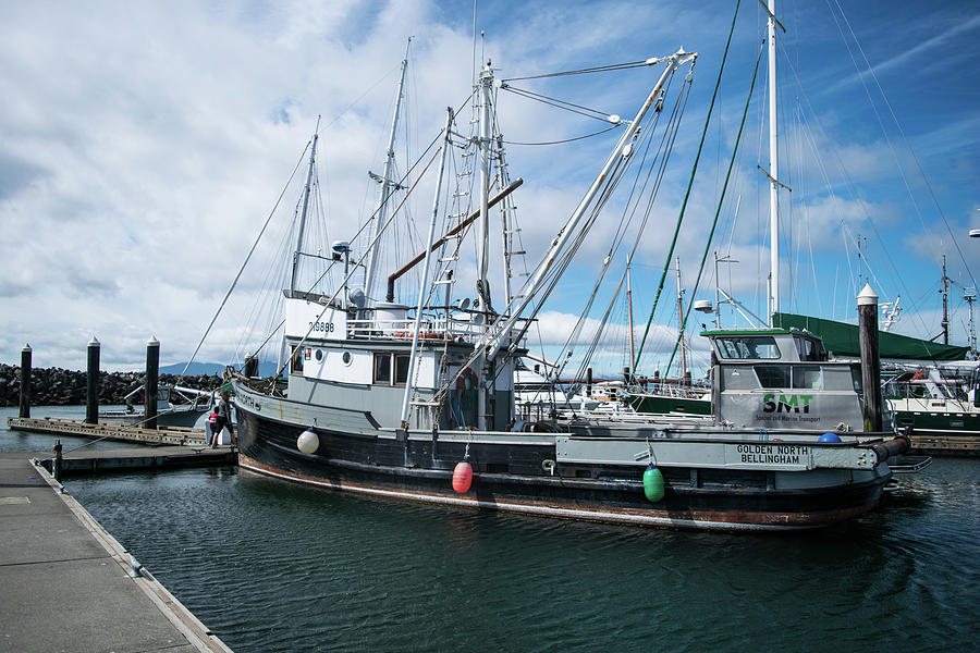 Golden North at Squalicum Harbor Photograph by Tom Cochran