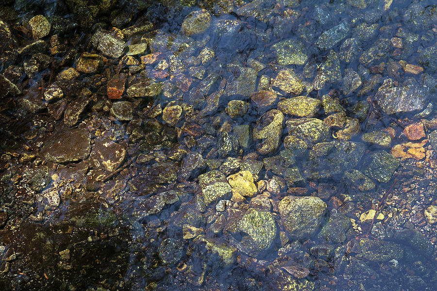 Golden Nuggets In Water Photograph by Viktor Savchenko