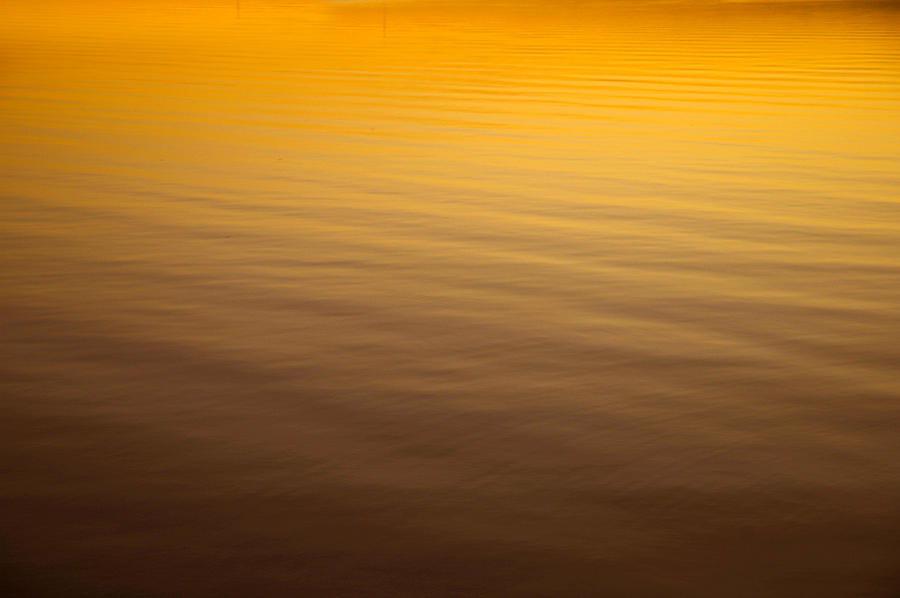 Golden Ocean  Photograph by Kevin Cable