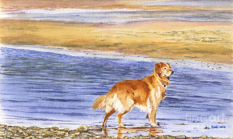 Golden on the Bay Painting by Heidi Gallo