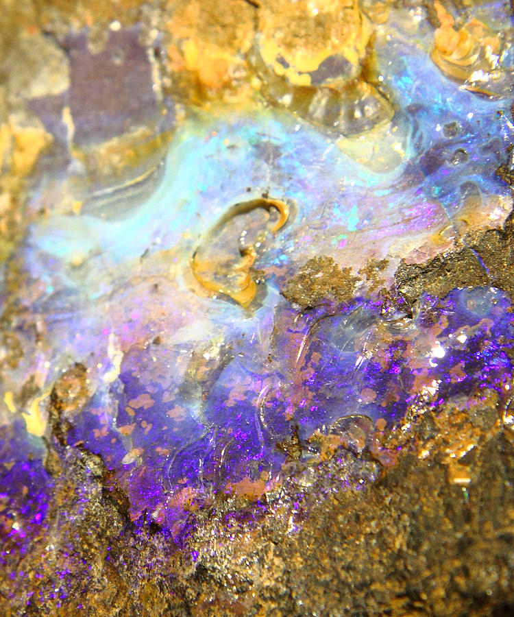 Golden Opal Photograph by The Quarry