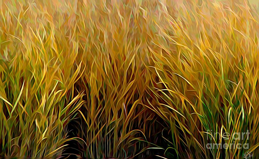 Golden Orange Autumn Grasses Melting Colors Effect Photograph by Rose Santuci-Sofranko