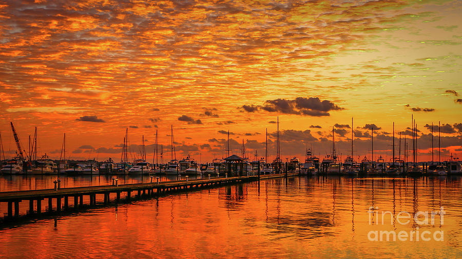Golden Orange Sunrise Photograph by Tom Claud