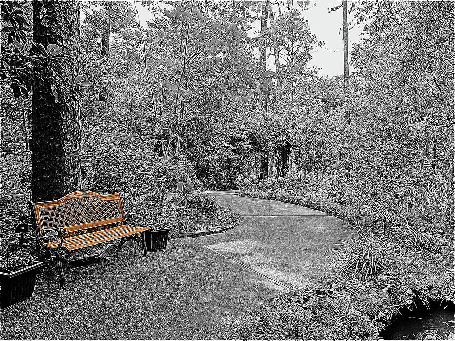 Black And White Digital Art - Golden Park Bench Along the Gardens Walkway by Marian Bell
