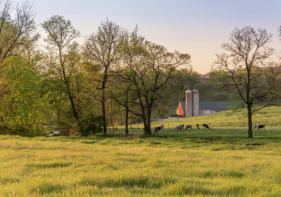 Golden Pastures Photograph by Andy Smetzer