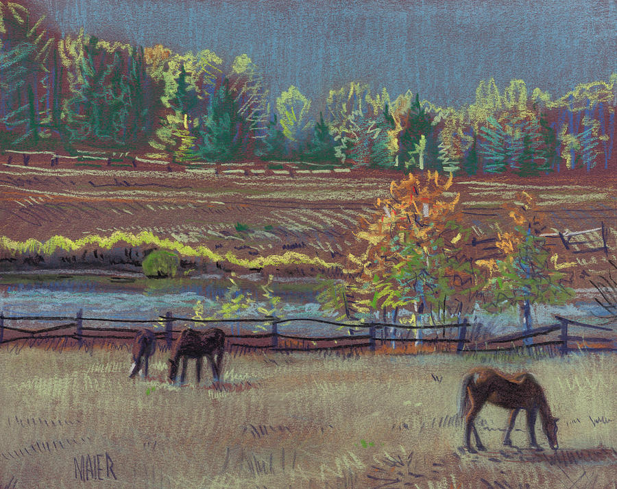 Horse Drawing - Golden Pastures by Donald Maier