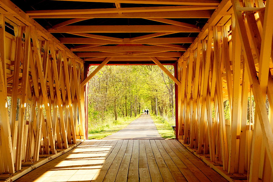 Golden Pathway Photograph By Beth Collins Pixels