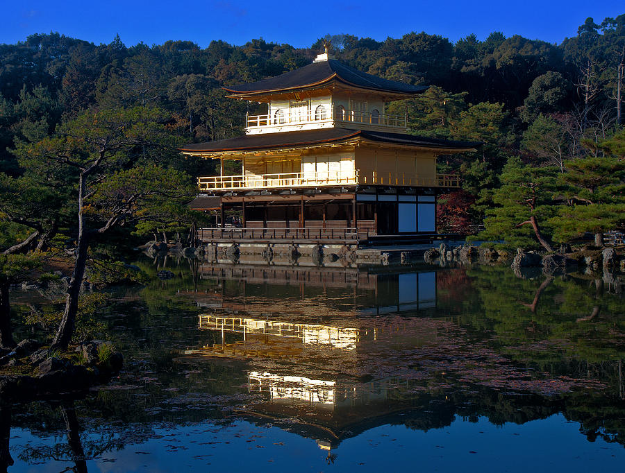 Golden Pavilion Photograph by Gary Hughes