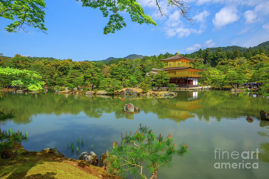 Golden Pavilion Kyoto Photograph by Benny Marty