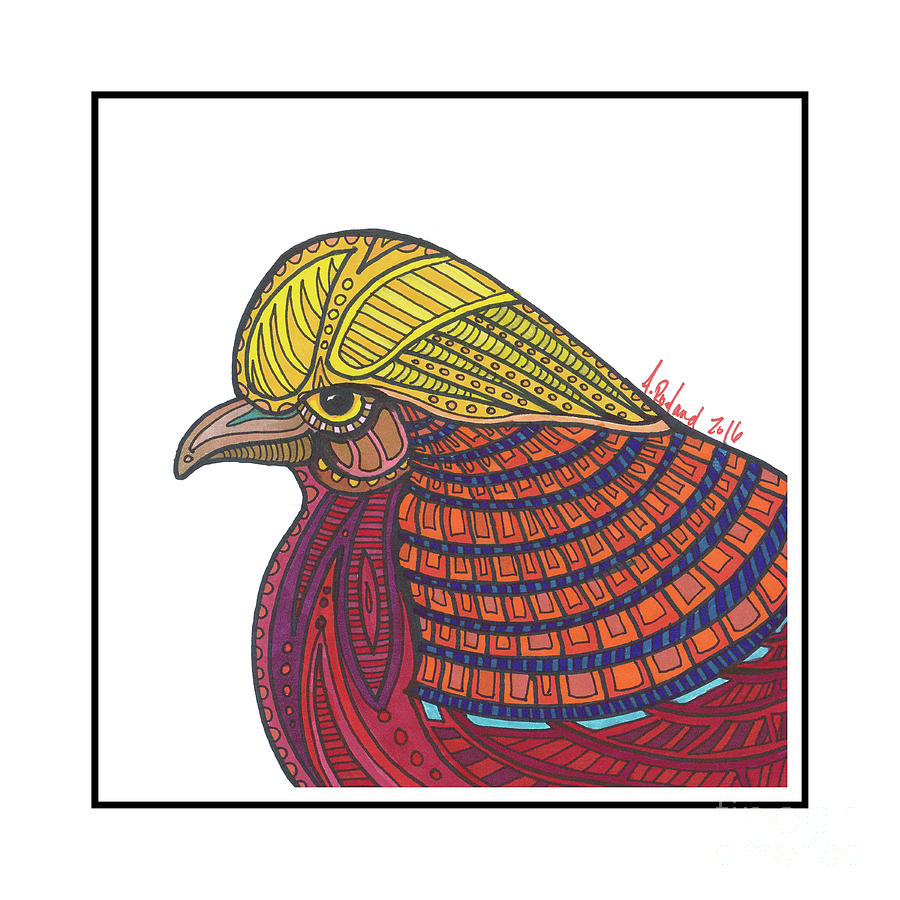 Golden Pheasant #16 Drawing by Allie Rowland | Fine Art America