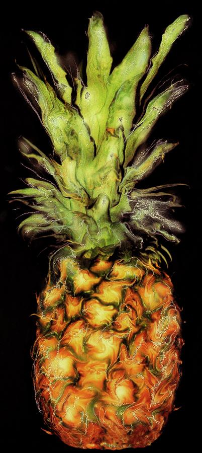 Abstract Photograph - Golden Pineapple by Paul Tokarski