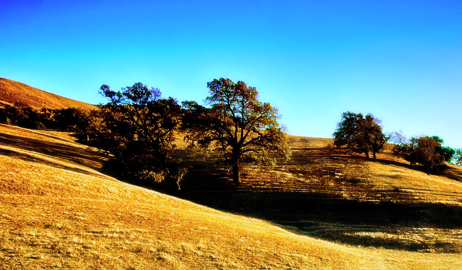Golden Plains Central California Photograph by Joseph Hollingsworth
