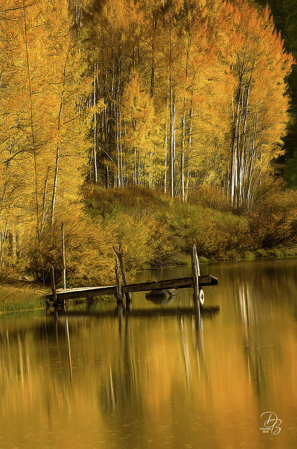 Golden Pond Photograph by Debra Boucher