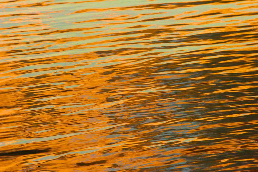 Golden Pond Photograph by Polly Castor